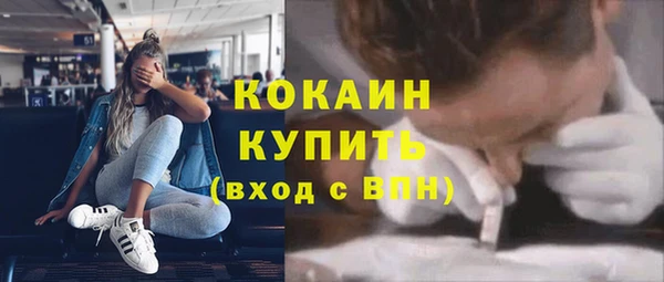 стаф Белокуриха