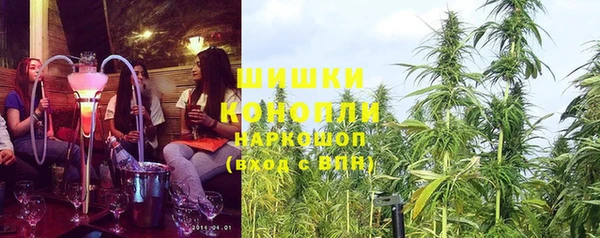 стаф Белокуриха