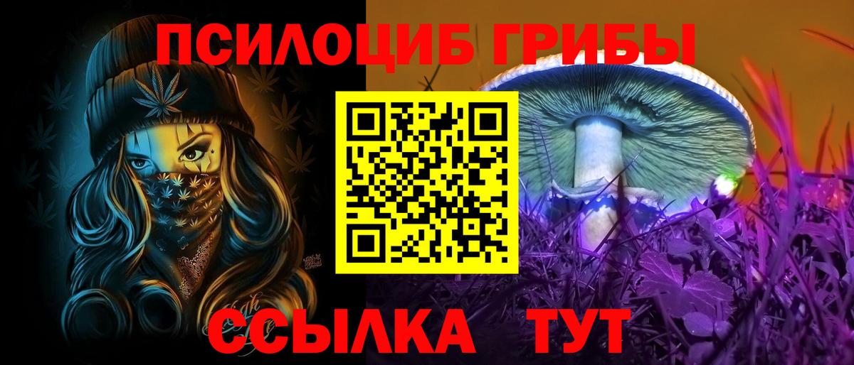 Видное  Галлюциногенные грибы Psilocybine cubensis  Галлюциногенные грибы GOLDEN TEACHER  купить закладку  Вход с VPN 